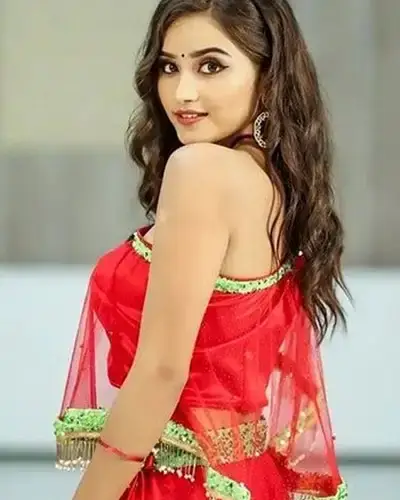 Call Girls Service Sadar Hills